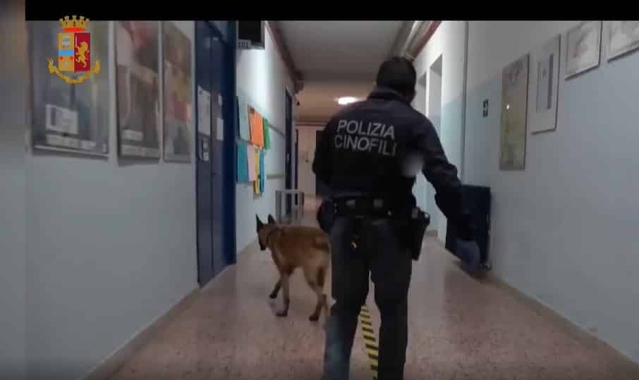 Cani antidroga in una scuola per un controllo: “Fondamentale la collaborazione con i ragazzi” – VIDEO