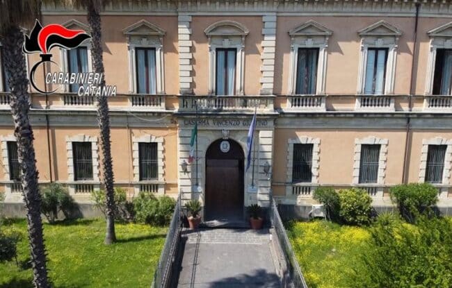 I carabinieri di Catania in prima linea contro i maltrattamenti degli animali. Video