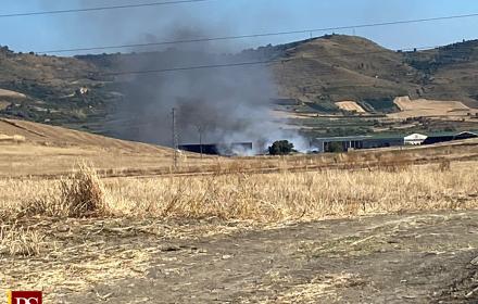 Sicilia, bando da 5 milioni di euro per le aziende agricole colpite dagli incendi della scorsa estate