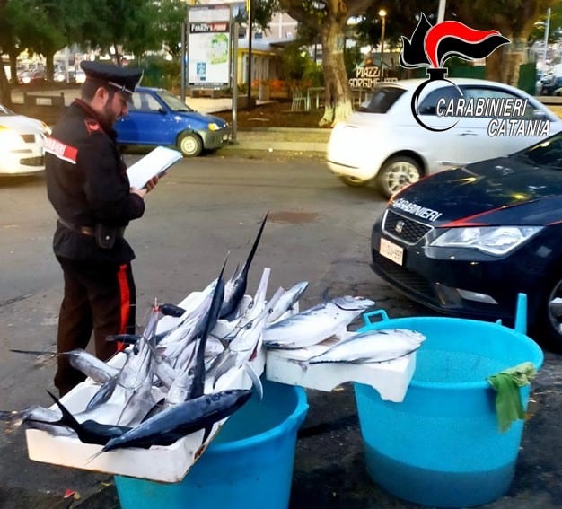 Vendeva pesce sotto taglia in piazza Risorgimento: maxi multa per un giovane catanese