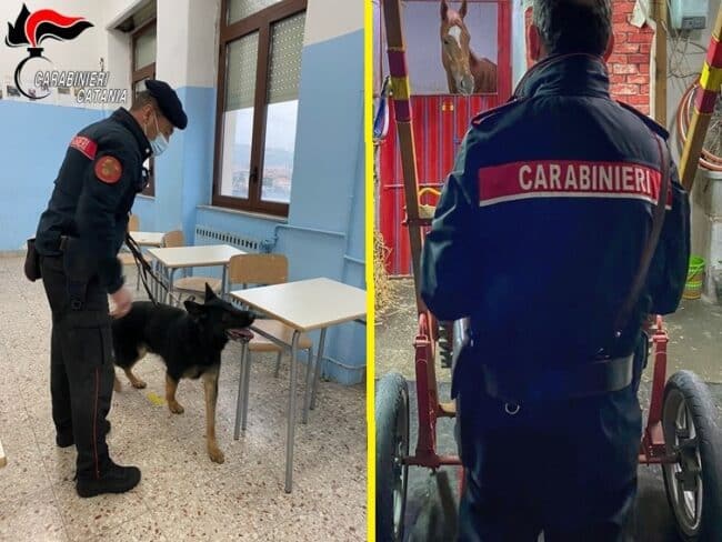 Controlli a Catania tra spaccio e multe salate, trovato anche un cavallo “irregolare”