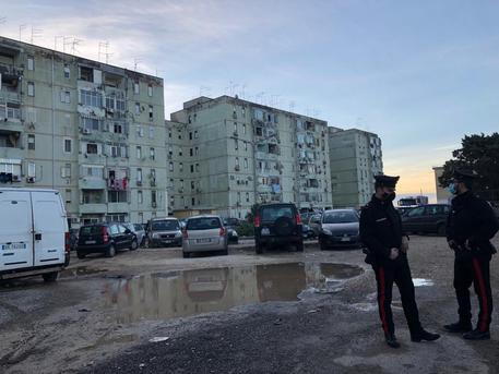 Blitz in due palazzine di via Algeri: perquisizioni in corso tra spaccio, armi e colombi