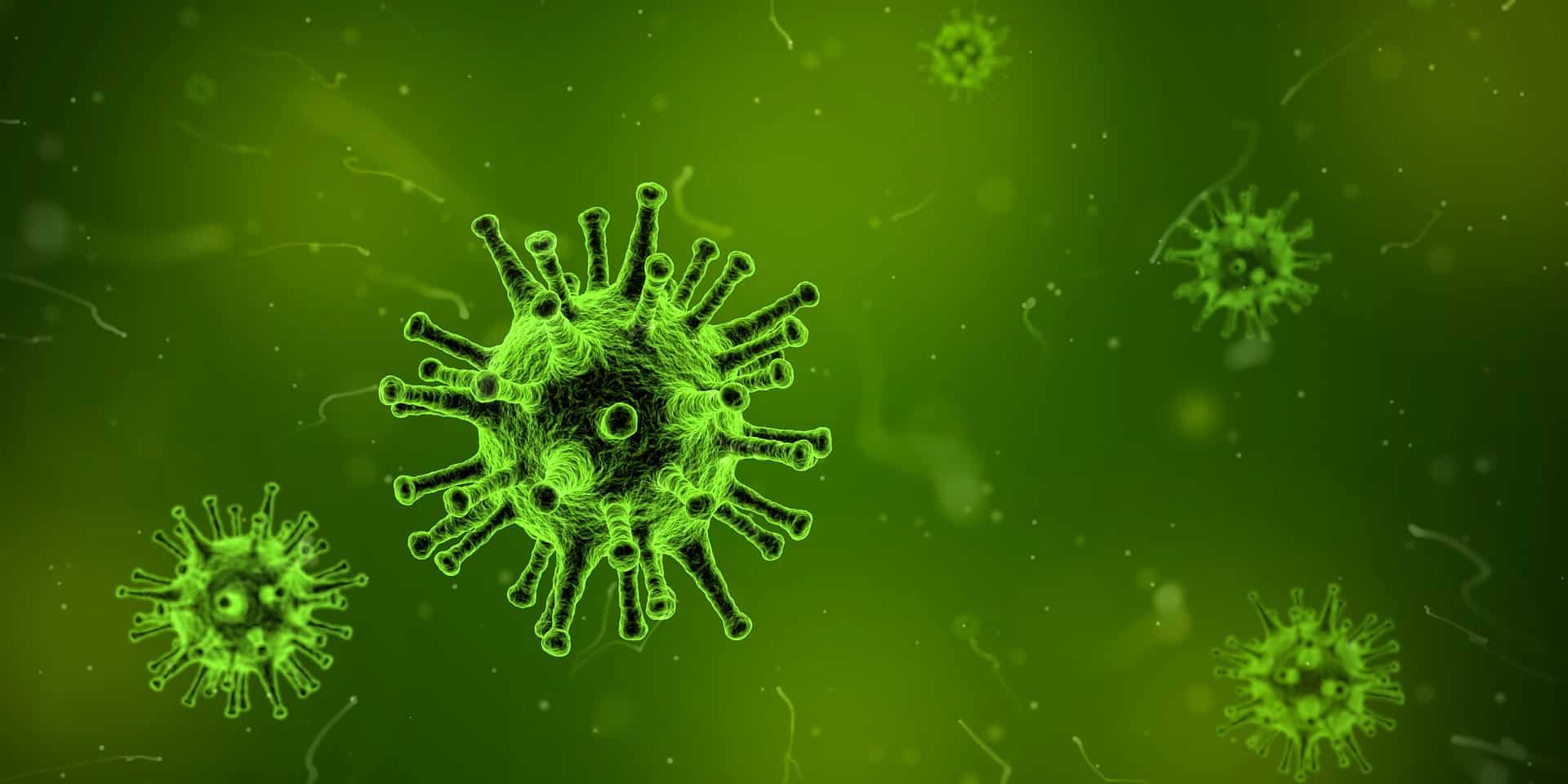 Nuovo virus scoperto in Cina: soprannominato Langya, ha colpito 35 persone – I sintomi dell’infezione