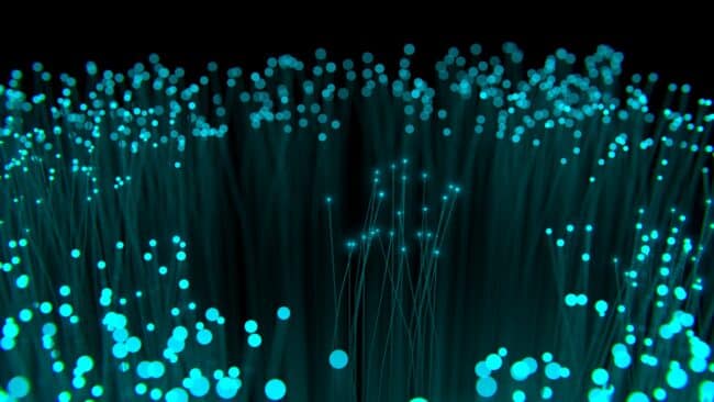 Fibra e iper fibra: le differenze spiegate bene