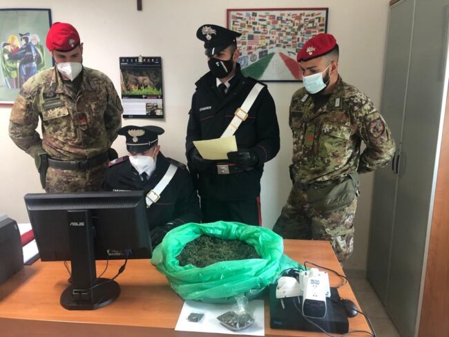 Abitazione come market di marijuana: arrestata una coppia di coniugi