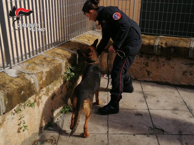 Palermo, operazione “Carthago”: 12 arresti in corso – VIDEO