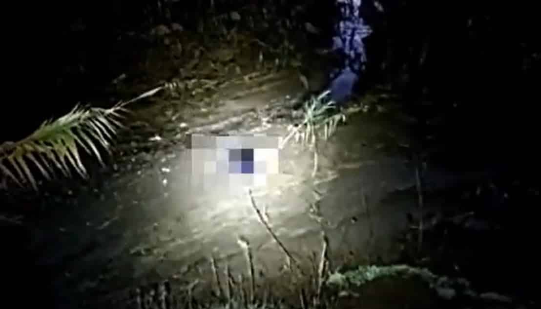 Uomo con disturbi psichici scappa di casa: trovato dentro un fiume e salvato dai carabinieri – VIDEO