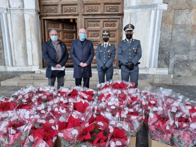 Sequestrate 84 stelle di Natale ad un venditore ambulante: devolute in beneficienza