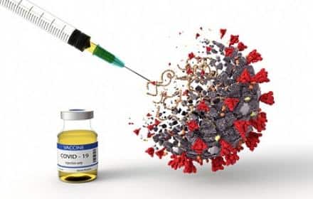 Covid, approvato dall’Ema il vaccino Novavax