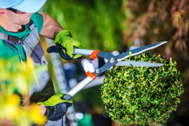 Bonus verde 2022, la detrazione Irpef per sistemare terrazzi e giardini: come funziona e a chi spetta
