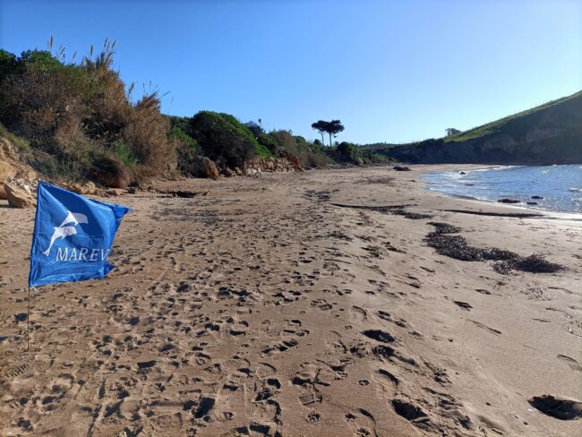 Volontari e bambini puliscono la spiaggia di Timpi Russi: raccolti più di 300 chilogrammi di rifiuti