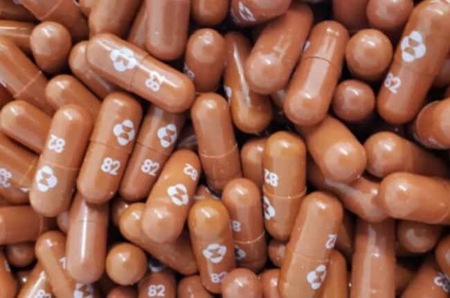 Pillola Molnupiravir anche in Italia: usi ed efficacia del farmaco anti-Covid