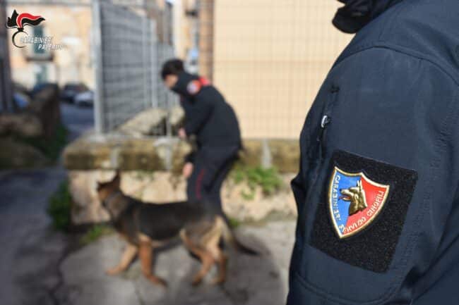 Duro colpo per il “mercato dello stupefacente” a Palermo: 6 arresti, sequestrate armi e droga