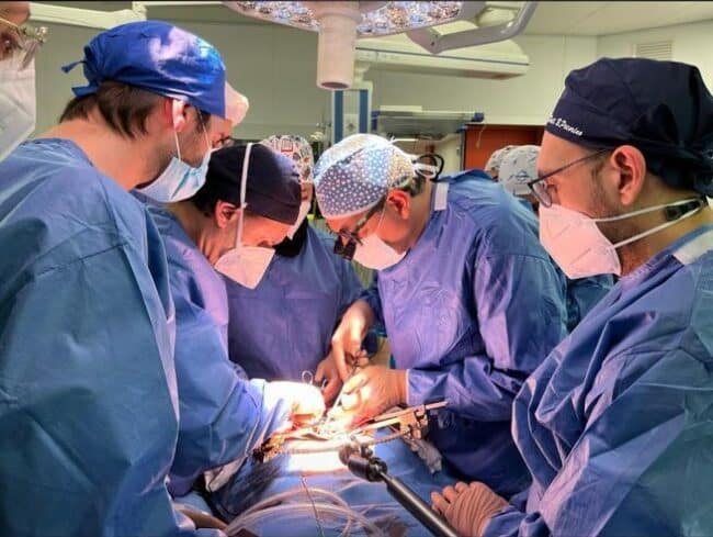 Secondo trapianto di utero in Italia eseguito a Catania dalle équipes del Policlinico e Cannizzaro