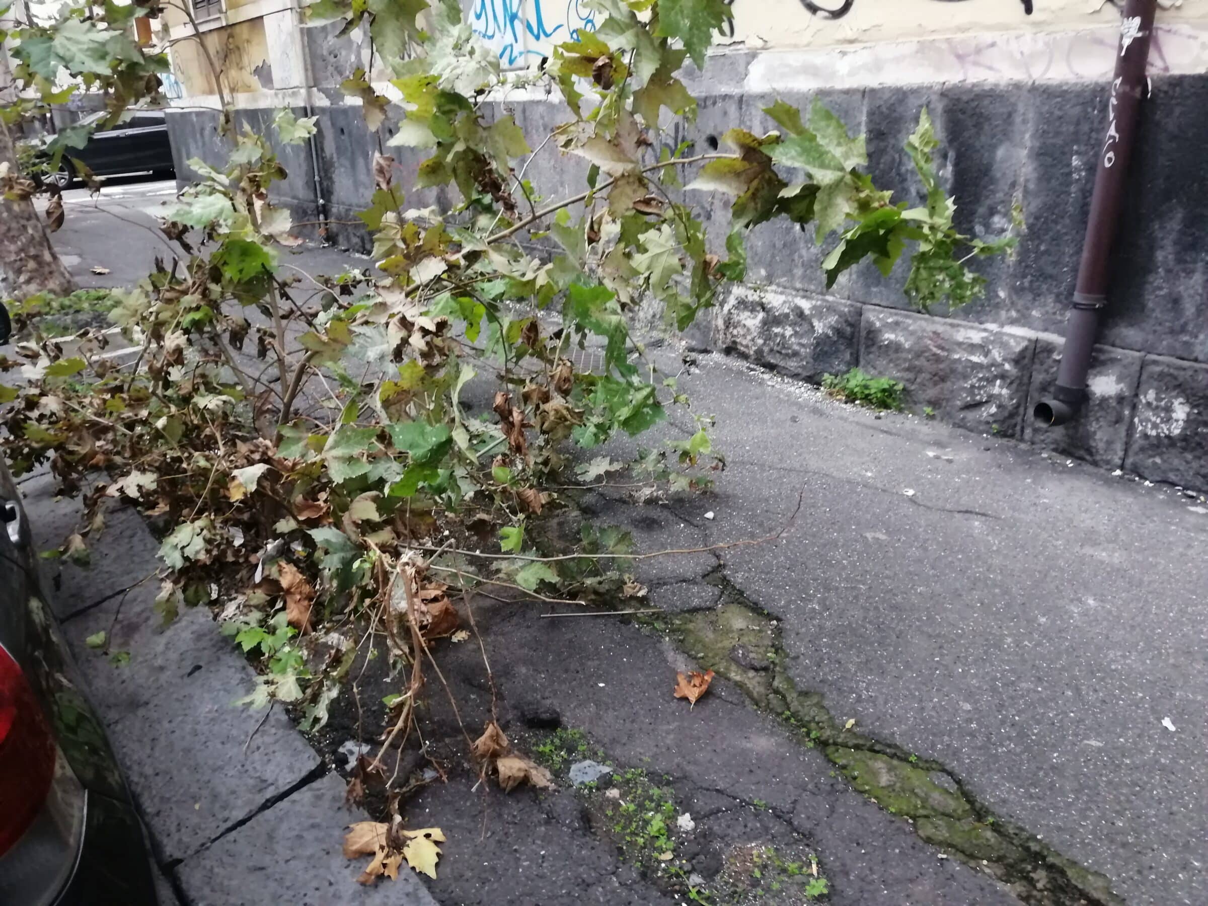 Sos marciapiedi di Catania, l’appello del Comitato Romolo Murri: “Pericolose trappole per i cittadini” – FOTO
