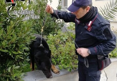 Si “arrende” al fiuto del cane antidroga e consegna marijuana, cocaina e soldi: arrestato un 22enne catanese