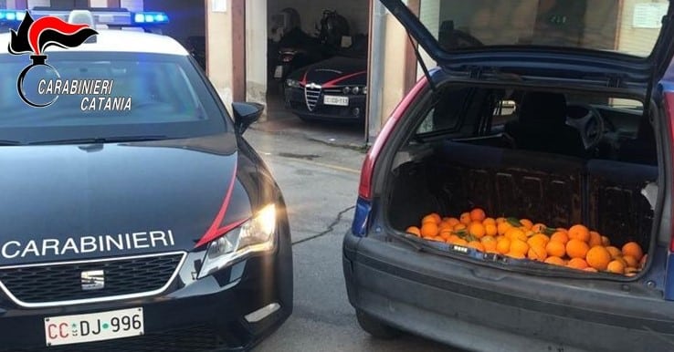 In fuga con oltre 150 chilogrammi di arance rubate: 3 giovani “traditi” da una manovra anomala