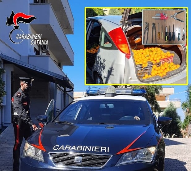 Posto di blocco nel Catanese, 42enne beccato con in auto oltre 150 chili di mandarini: “Perché mi state fermando?”