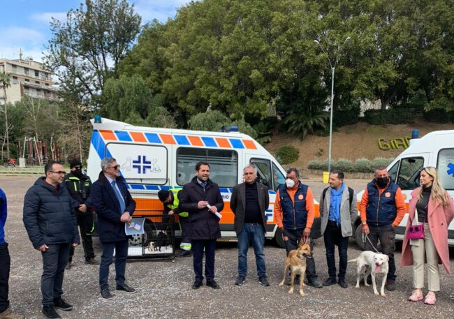 Tutela animali, nasce la “Catania Dog Card”: sconti e vantaggi per chi vuole adottare un cane