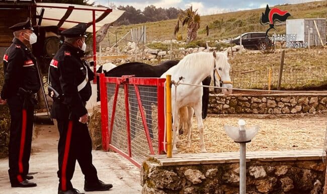 Sequestrato rinomato centro ippico siciliano, nei guai il titolare del maneggio – FOTO