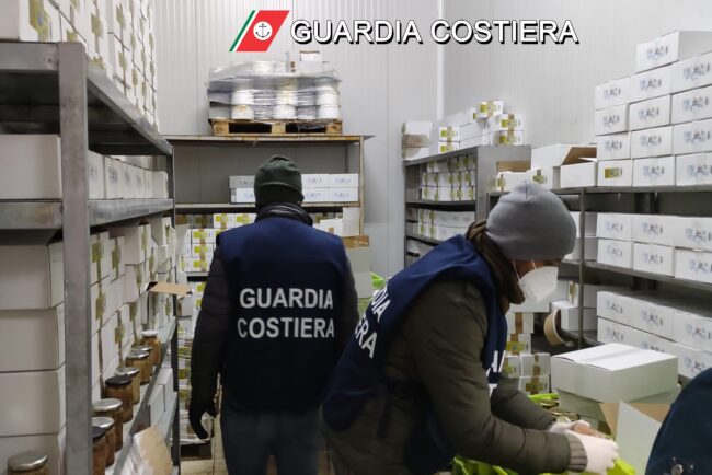 Operazione “Sirio”, maxi sequestri di tonno rosso e pesce spada nel Catanese – FOTO e VIDEO