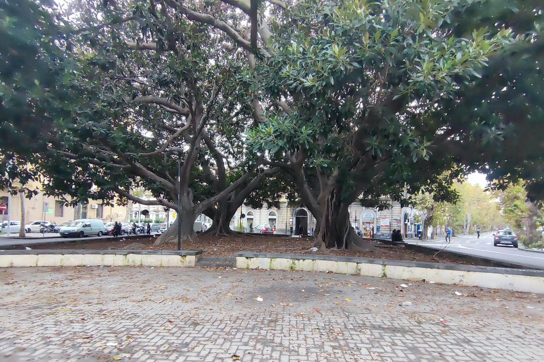 Piazza Santa Maria di Gesù a Catania, Cardello: “L’amministrazione deve intervenire per il recupero dell’area”