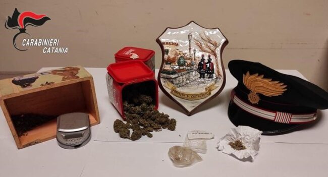 Marijuana nella cucina dell’azienda, il cane “Zero” fiuta la droga nascosta nel barattolo: 32enne in manette