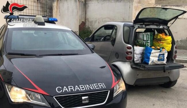 Furti nel Catanese, recuperate 600 chili di arance: 4 uomini denunciati