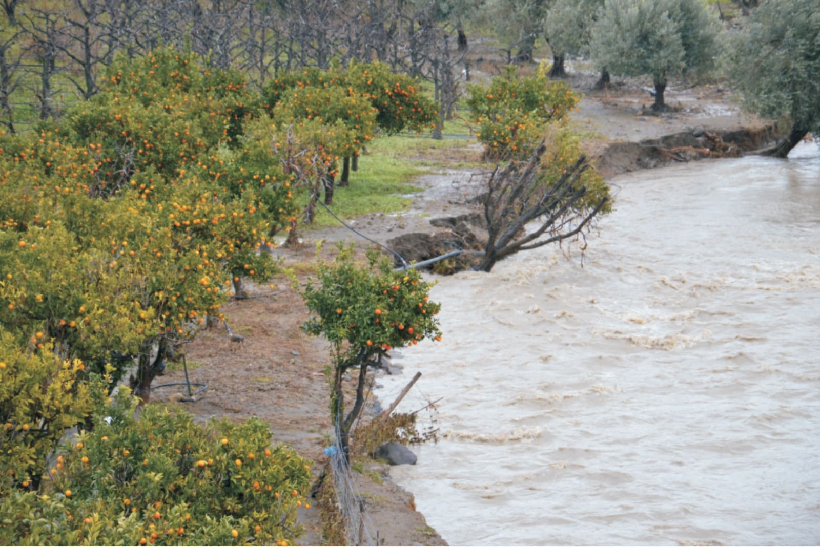 Danni post alluvioni di ottobre e novembre, il Comune di Bronte invia 41 istanze di risarcimento per 3 milioni di euro