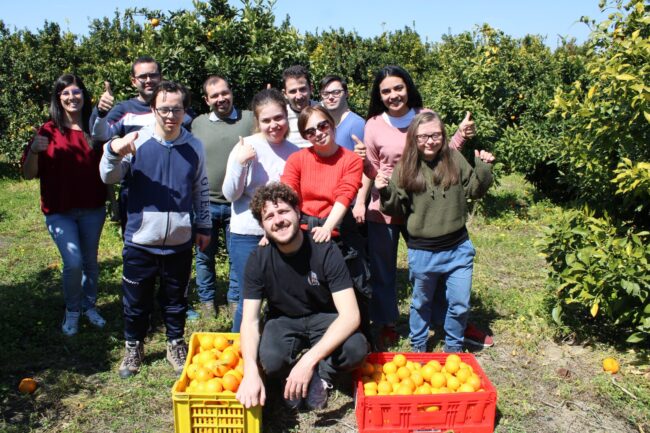 Beni confiscati alla mafia, a Catania continua la raccolta solidale di arance: “Simbolo sociale di cooperazione”
