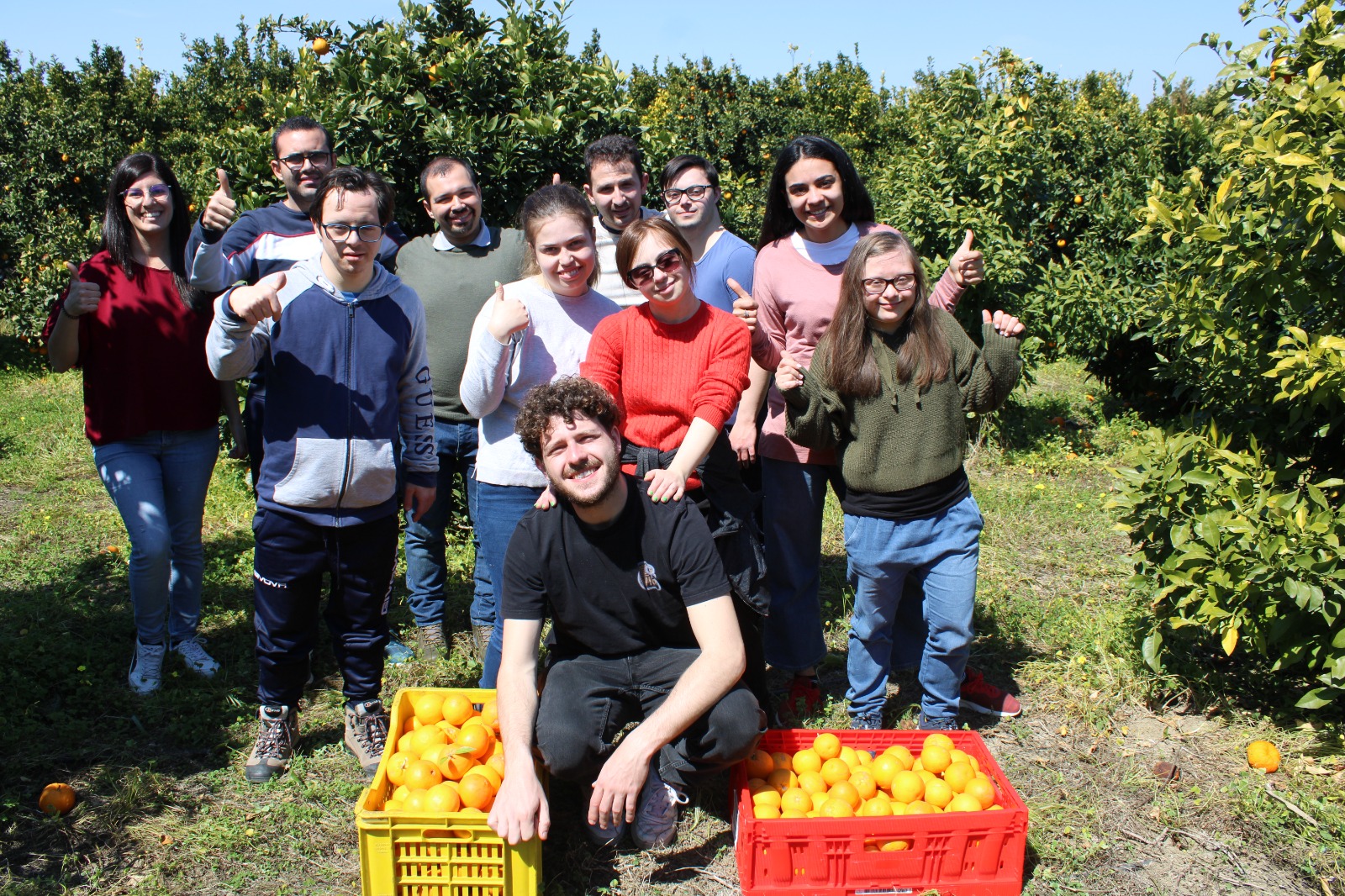 Beni confiscati alla mafia, a Catania continua la raccolta solidale di arance: “Simbolo sociale di cooperazione”