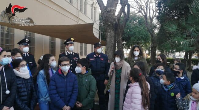 Carabinieri Forestali nelle scuole di Palermo: consegnate talee dell’Albero Falcone, nasce bosco diffuso