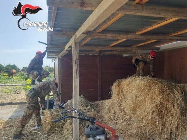 Spaccio di stupefacenti, i carabinieri beccano due pusher: scattano le manette
