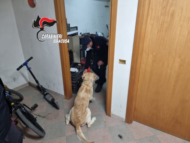 Pachino, abitazioni perquisite: denunciati due soggetti per armi e stupefacenti