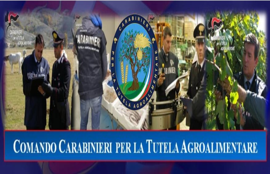 Operazione “Marchio”, sequestrati 4,5 quintali di prodotti alimentari: nel mirino anche Catania e Messina