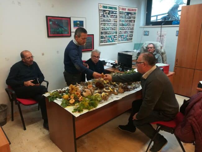 Riapre oggi l’Ispettorato micologico dell’Asp di Catania