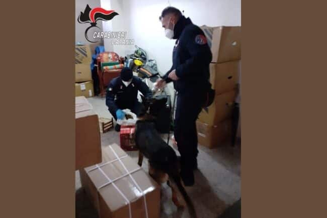 Vasto servizio di controllo del territorio, fioccano denunce e sanzioni: fondamentale il fiuto del cane antidroga “King”