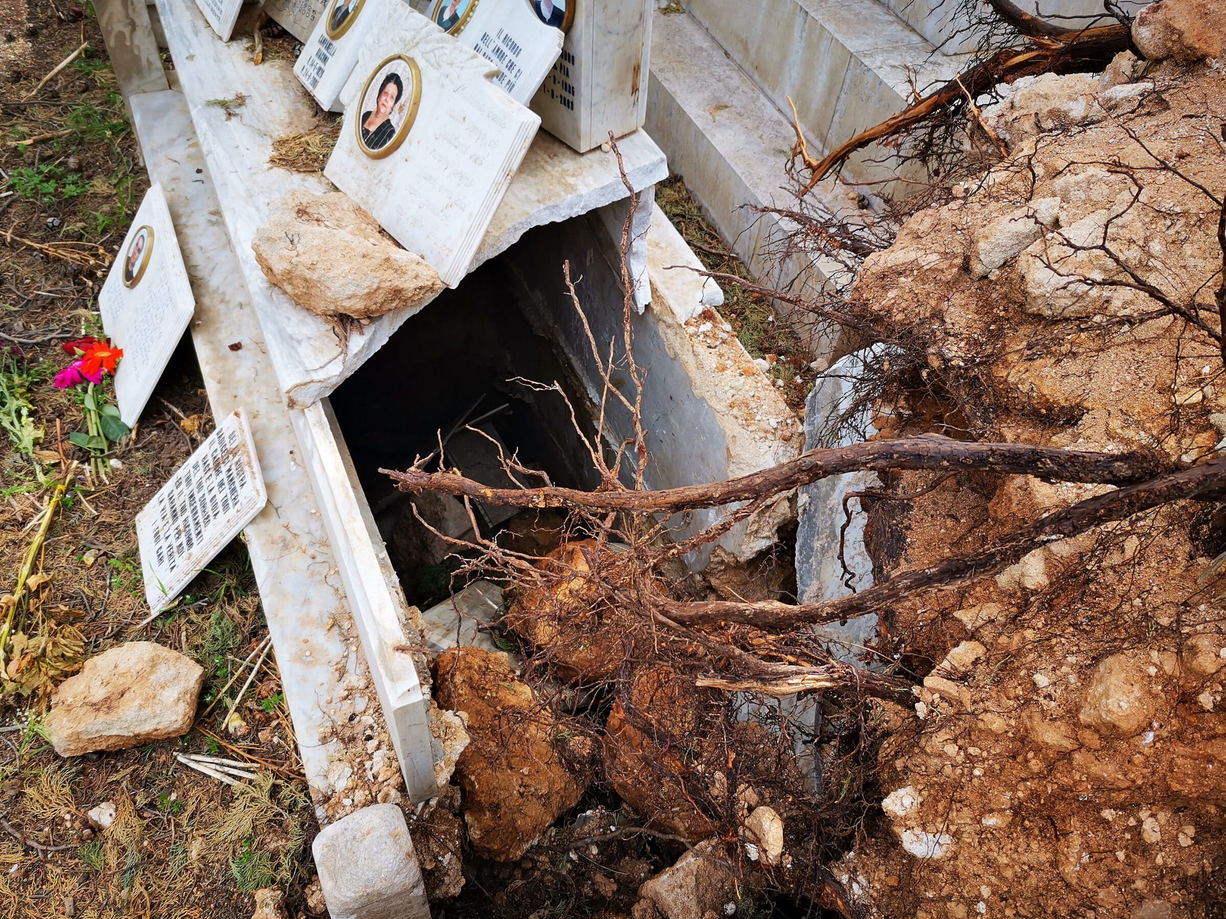 Situazione grave ai Rotoli, molti alberi rischiano lo schianto. Gelarda: “Non possiamo chiudere cimitero”