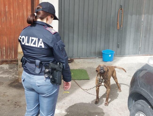 Librino, controlli “in strada” e in case abusive: diversi i denunciati, anche per Reddito di Cittadinanza