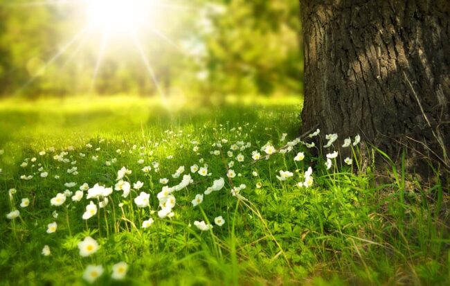 Meteo, le previsioni di domani in Sicilia: temperature minime in rialzo, a Pasqua arrivano le nuvole