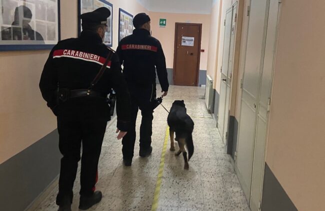 Dall’ubriaco senza patente a chi minaccia gli automobilisti con il coltello, denunce e sanzioni nel Messinese