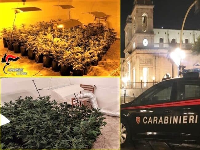 Giarre, 37enne dal pollice verde “accudiva” per bene 91 piantine di cannabis