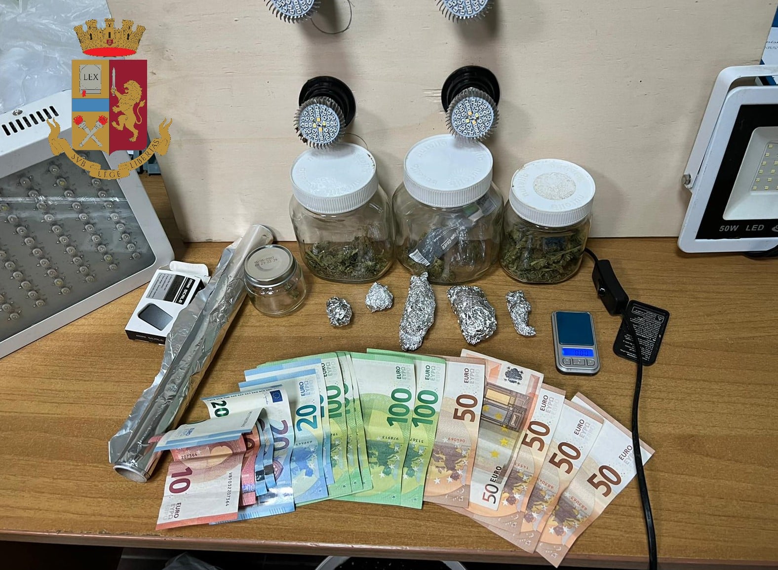 Coltivava marijuana in casa, arrestato 29enne per spaccio – LE FOTO