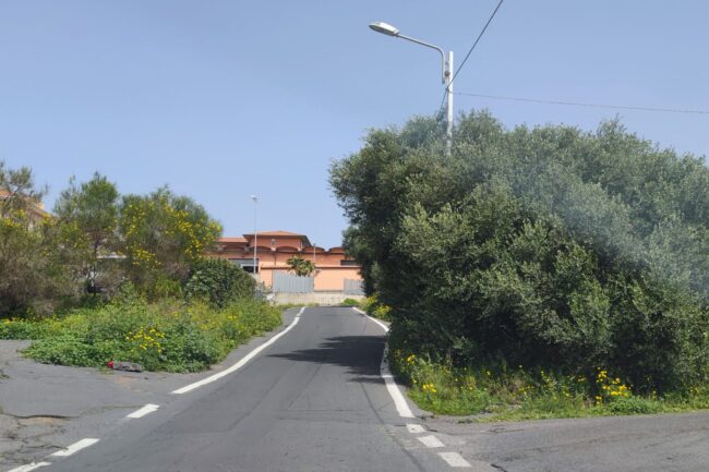 Catania e il rischio incendi, Buceti: “Cominciare a lavorare ora vuol dire farsi trovare pronti”