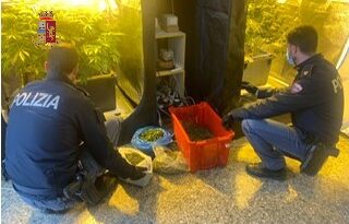 Droga in via Risorgimento, 37enne coltivava cannabis in casa: scatta l’arresto