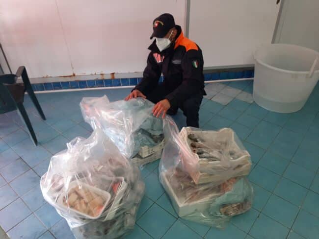 Blitz a Riposto, maxi sequestro di ricci di mare ed “occhi di bue”: nel mirino una nota pescheria
