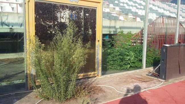 Catania, “vergognoso al Cibali”: l’impianto etneo messo in ginocchio dal degrado – Le FOTO