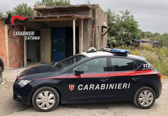 Paternò, competizioni clandestine di cavalli: i video sui social con le canzoni neomelodiche – VIDEO