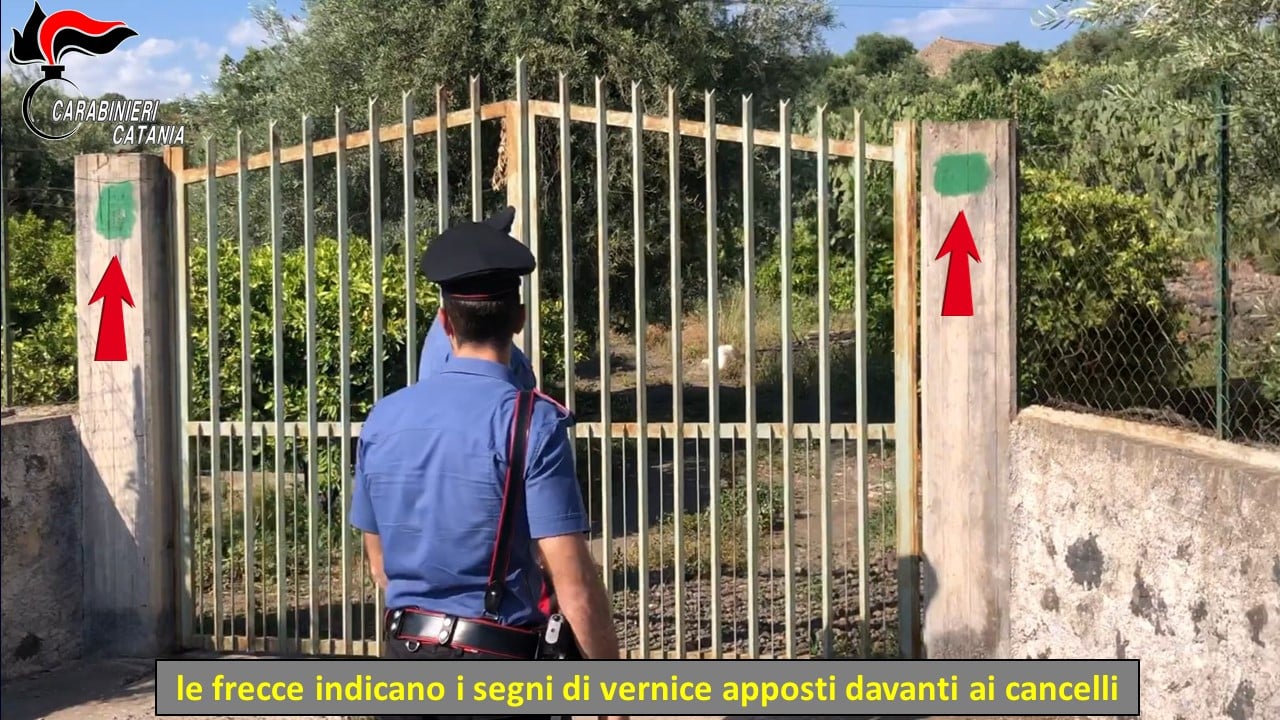 Guardiania abusiva, i segni spray nei cancelli e la “retta” come compenso: 5 indagati nel Catanese – VIDEO