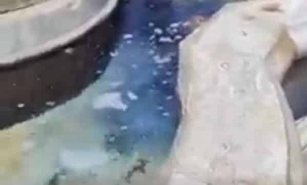 Video della fontana dell’elefante, il Giro d’Italia si scusa con Catania: “Responsabile allontanata”